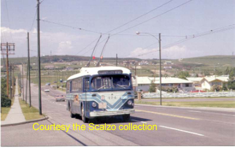 can_m_cgy_brill_474_1974_ss.jpg