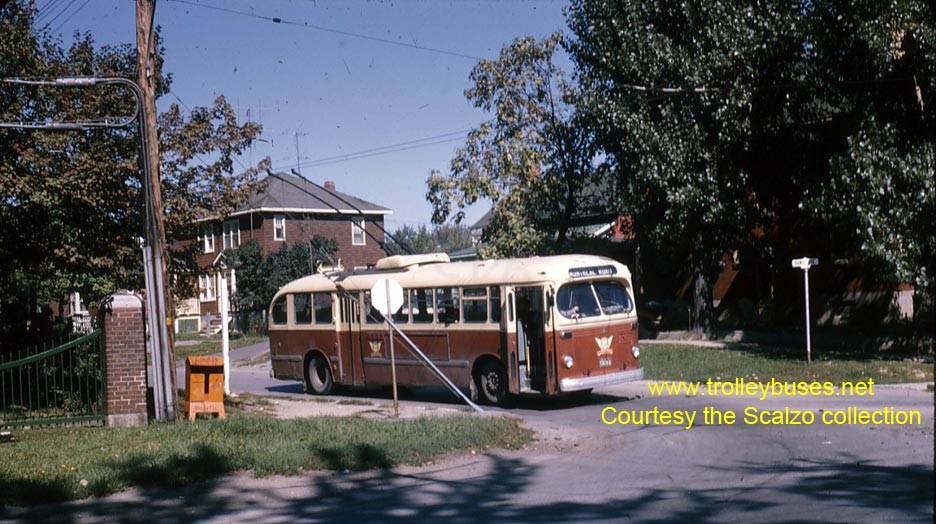 can_m_crn_brill_110_danismontrealsb_196310_ss.jpg