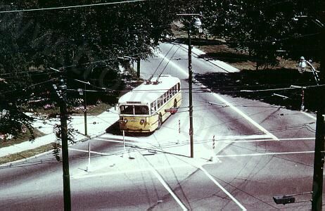 usa_m_day_ps_ct03_riverviewforest.jpg