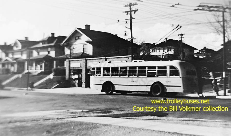 usa_m_day_ps_ct106_lexingtonrosedalewb_bv.jpg