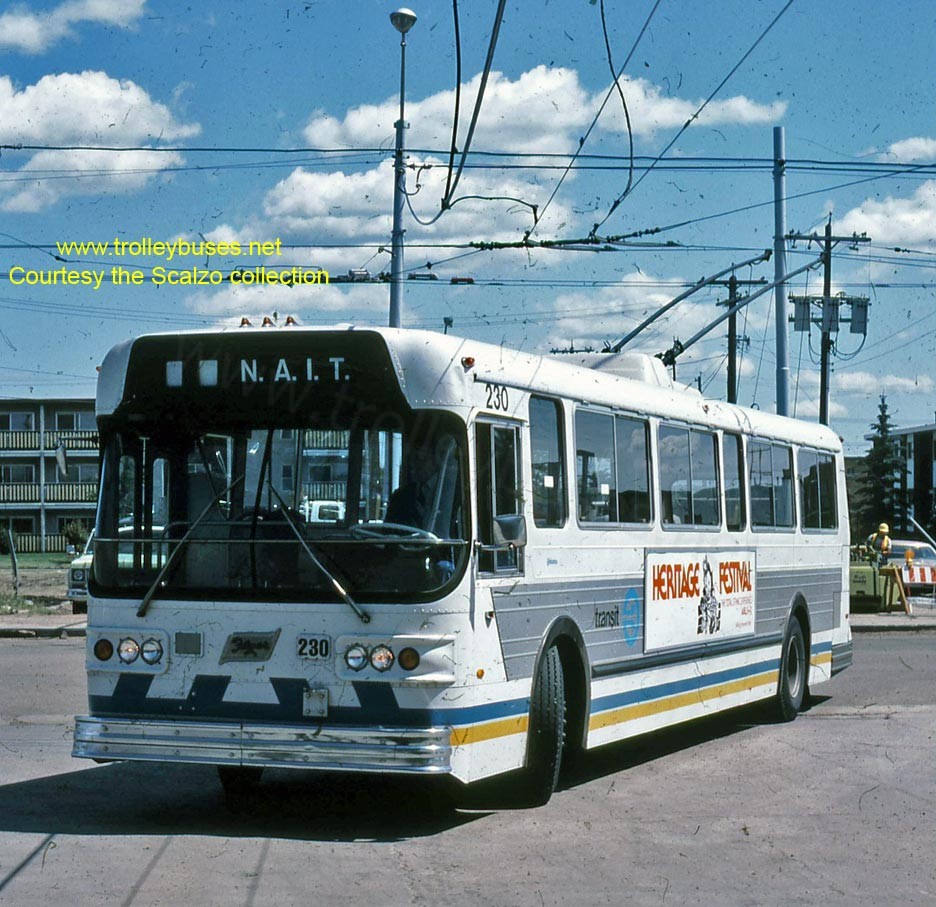 can_m_edm_flyer_230_198106_ss.jpg