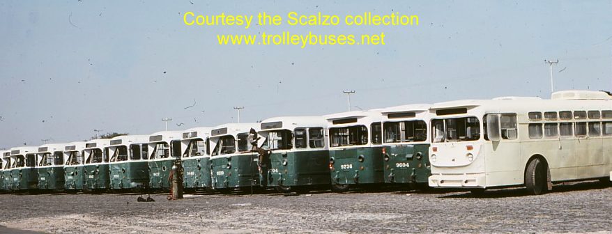 mex_m_gdl_mh_11_19751125_ss.jpg