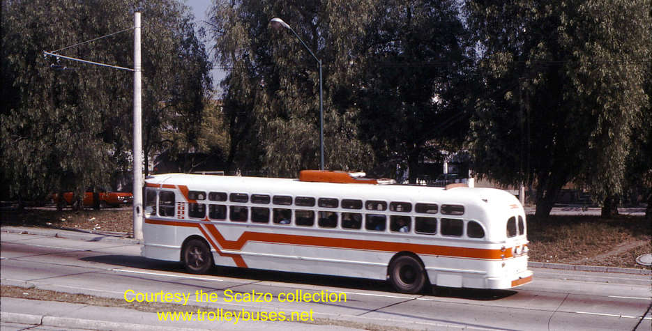 mex_m_gdl_mh_2005_gardenasarboledo_19771122_ss.jpg