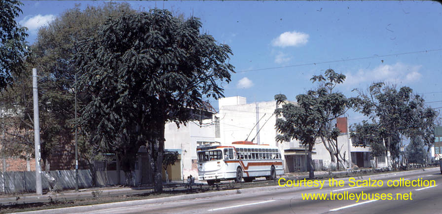 mex_m_gdl_mh_2011_independenciaensenada_19770201_ss.jpg