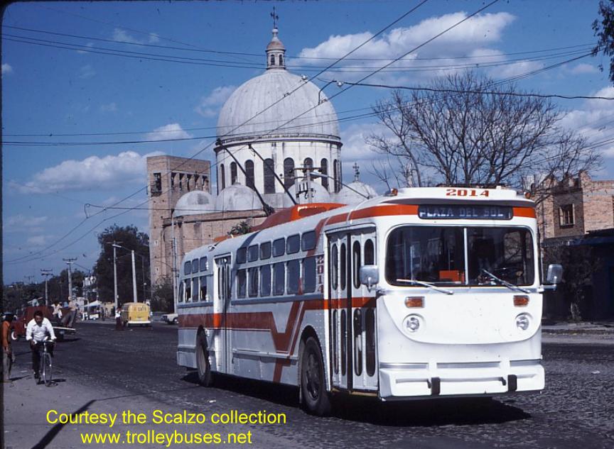 mex_m_gdl_mh_2014_colonoescalipto_19770201_ss.jpg