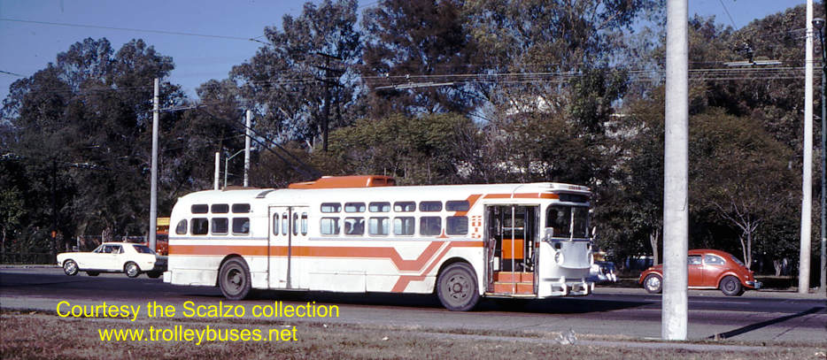 mex_m_gdl_mh_2015_mateosotero_19771122_ss.jpg