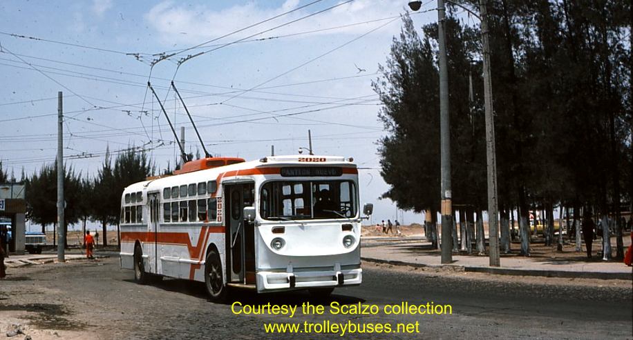 mex_m_gdl_mh_2020_planteonnuevo_19770411_ss.jpg