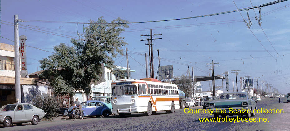 mex_m_gdl_mh_2021_coloncardenas_19770201_ss.jpg