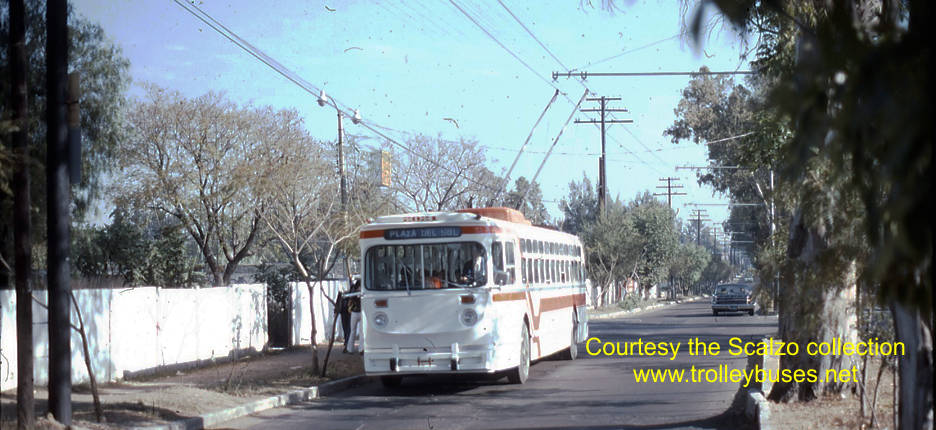 mex_m_gdl_mh_2021_mateoscublete_19770201_ss.jpg