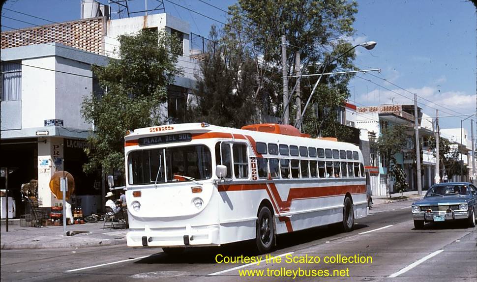 mex_m_gdl_mh_2025_independenciacalvario_19770201_ss.jpg