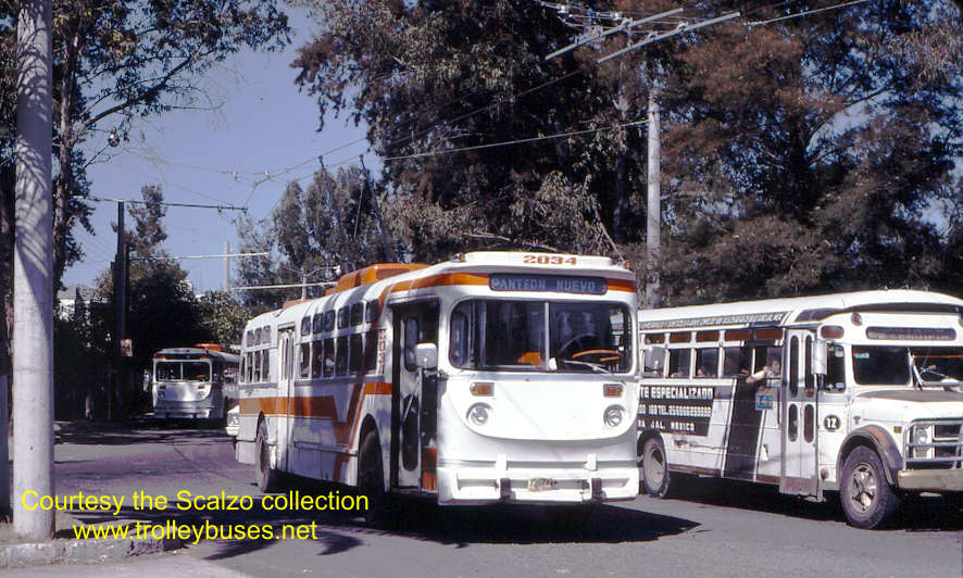 mex_m_gdl_mh_2034_ahuizotlmarinootero_19771122_ss.jpg
