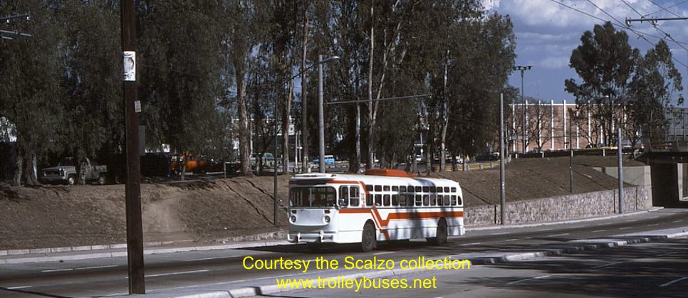 mex_m_gdl_mh_2048_cardenasarboledo_19770201_ss.jpg