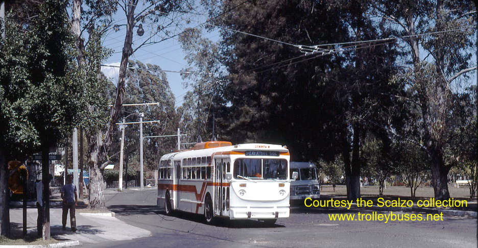 mex_m_gdl_mh_2051_ahuizotlmarinootero_19770131_ss.jpg