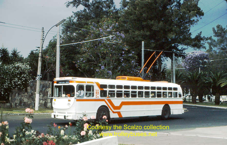 mex_m_gdl_mh_2072_gardenaschapalita_19770411_ss.jpg