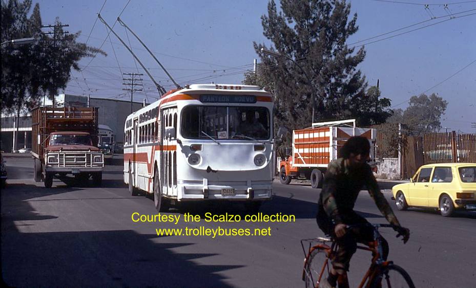 mex_m_gdl_mh_2119_colonaeduwiges_19771122_ss.jpg