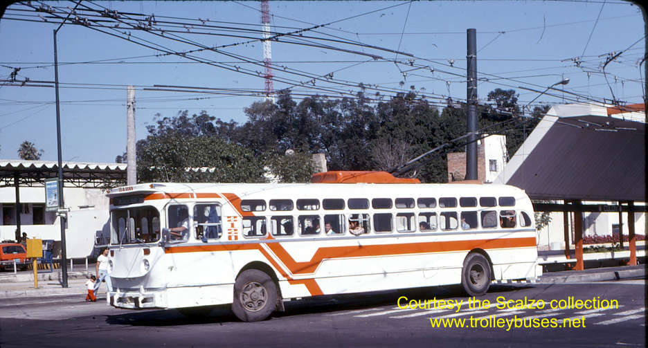 mex_m_gdl_mh_2120_federalismoeduwiges_19771122_ss.jpg