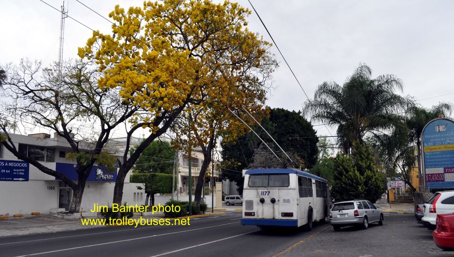 mex_m_gdl_somex_1177_20100315_jbain_03.jpg