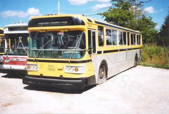can_m_ham_flyer_7802.jpg
