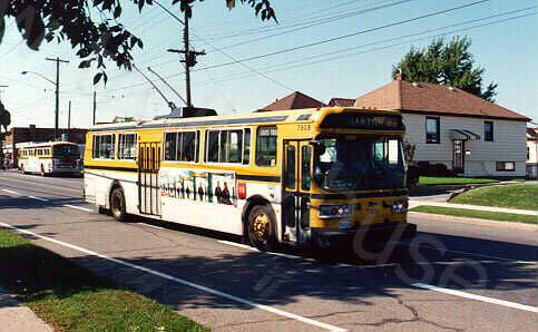 can_m_ham_flyer_7808.jpg