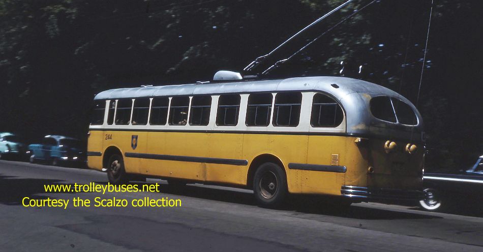 can_m_hfx_brill_244_195907_ss.jpg