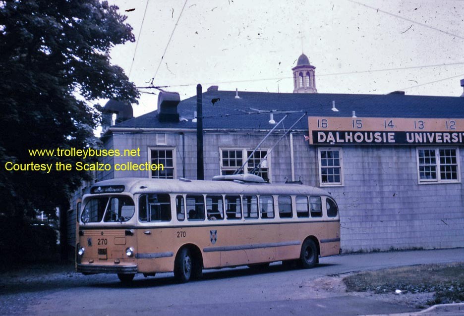 can_m_hfx_brill_270_196801_ss.jpg