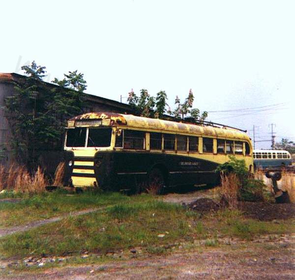 usa_m_ilg_brill_12_rhill.jpg
