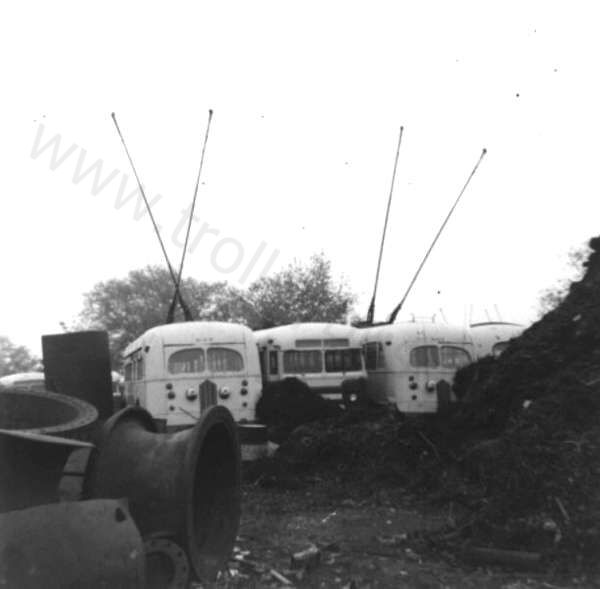 usa_m_ilg_brill_23_rhill.jpg
