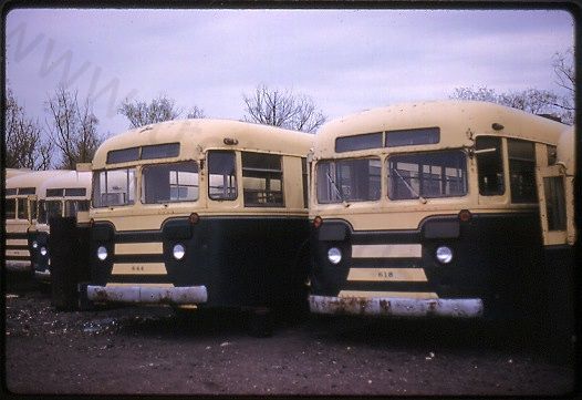 usa_m_ilg_brill_618_644.jpg