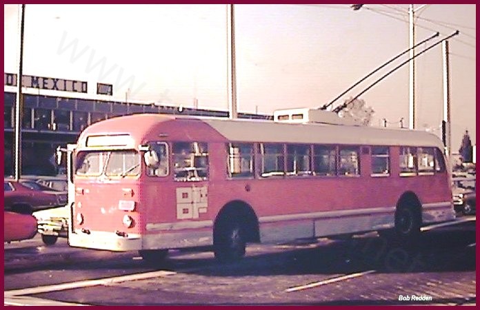 mex_m_mex_brill_01_redden.jpg