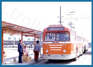 mex_m_mex_mh_3591.jpg