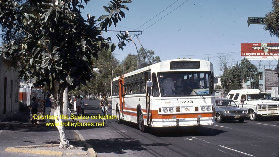 mex_m_mex_mh_5773_camaronesnubia_19861110_ss.jpg