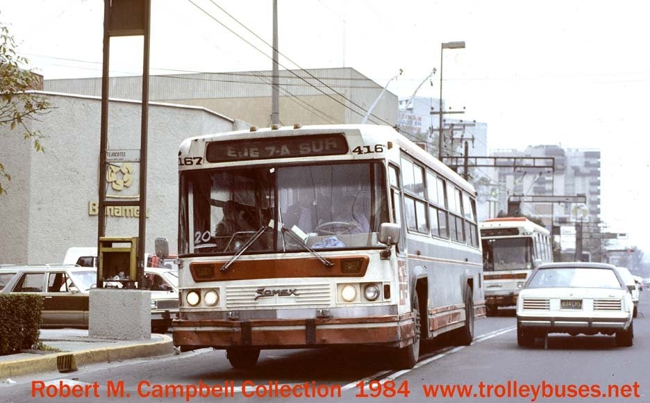 mex_m_mex_somex_4167_feliscuevastejocotes_198409_bobc.jpg