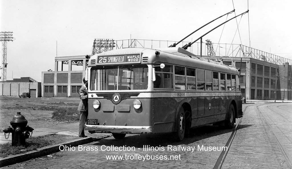 usa_m_psct_yellow_9266_irm_ss.jpg
