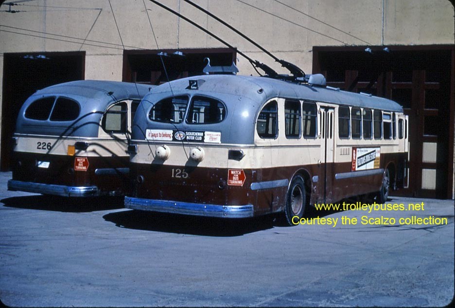 can_m_reg_brill_125_albertbarn_196406_ss.jpg