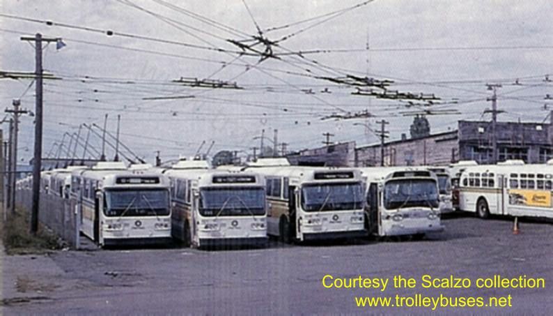 usa_m_sea_amg_04_198008_ss.jpg