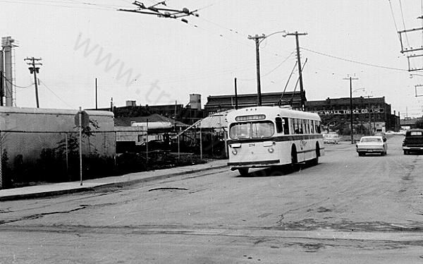 usa_m_stj_brill_274_olive8theb.jpg
