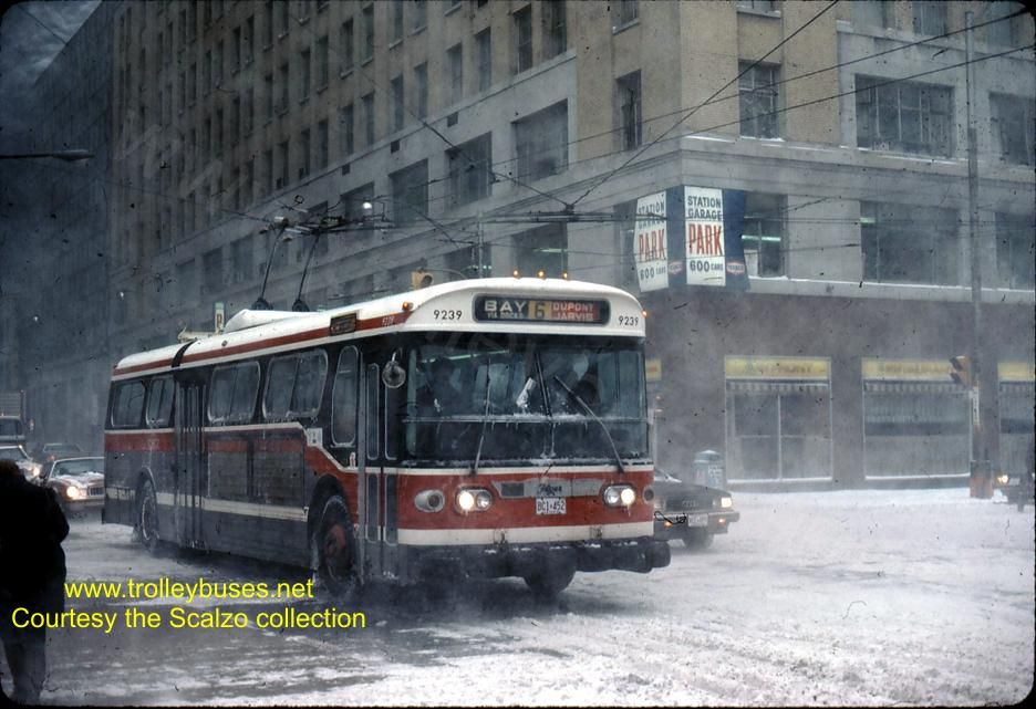can_m_tor_flyer_9239_bayst_19850304_ss.jpg