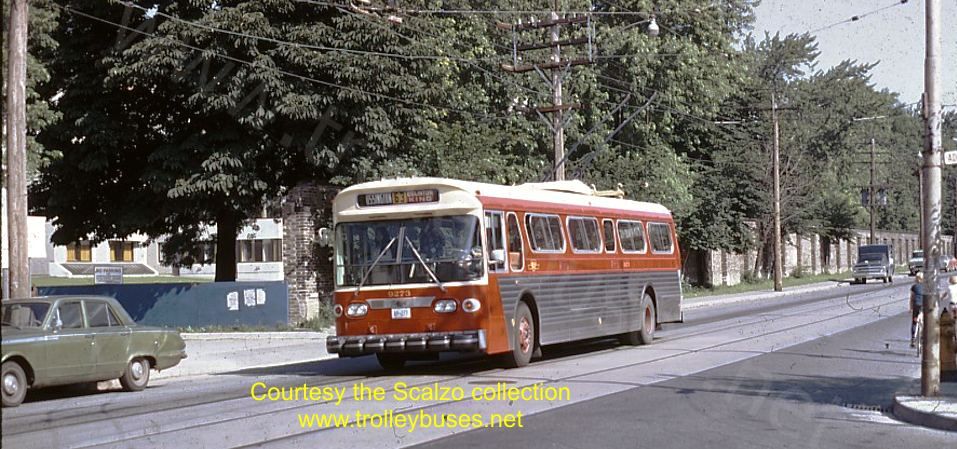 can_m_tor_flyer_9273_shawadelaide_19740707_ss.jpg