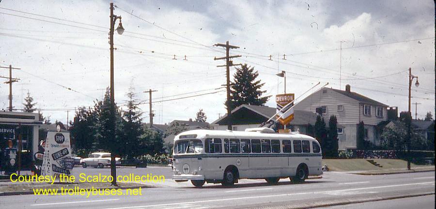 can_m_van_brill_2060_oak41st_1966_ss.jpg