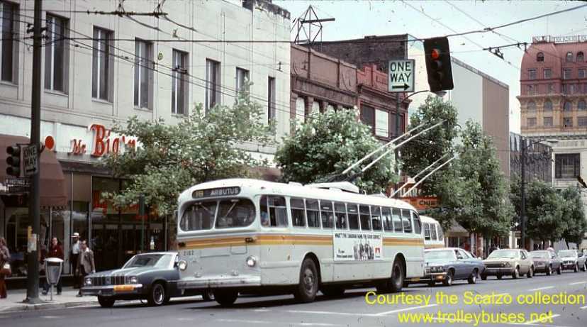 can_m_van_brill_2102_rt18hastingsrichards_19810828_ss.jpg