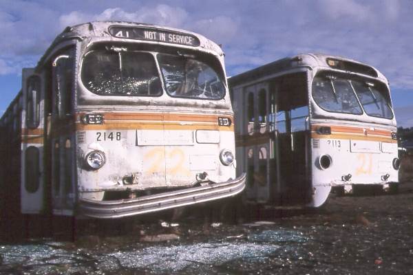 can_m_van_brill_2148_surrey.jpg