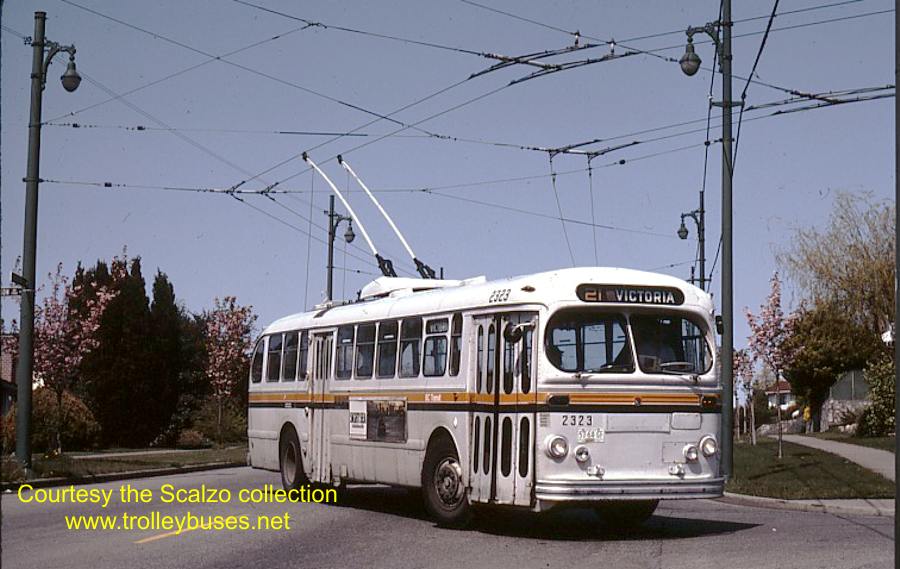 can_m_van_brill_2223_19830413_ss.jpg