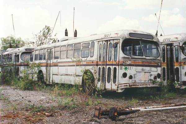 can_m_van_brill_2227_surrey.jpg