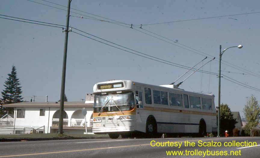 can_m_van_flyer_2638_197610_ss.jpg