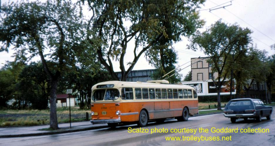 can_m_win_brill_1762_corydonarbuthnot_ssag.jpg